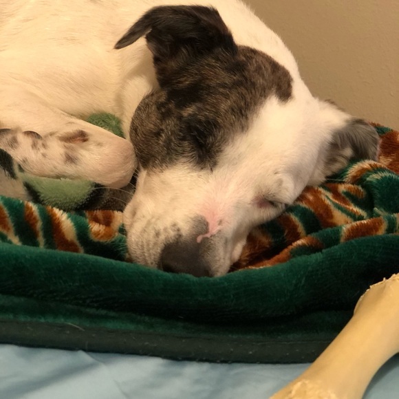 Meet your Posher, Rebecca - Picture 1 of 1